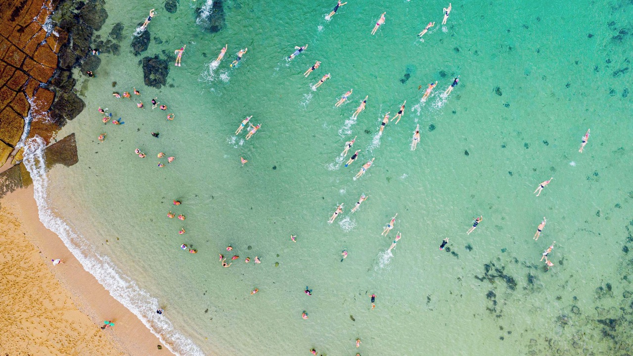 Photo of Others in Manly