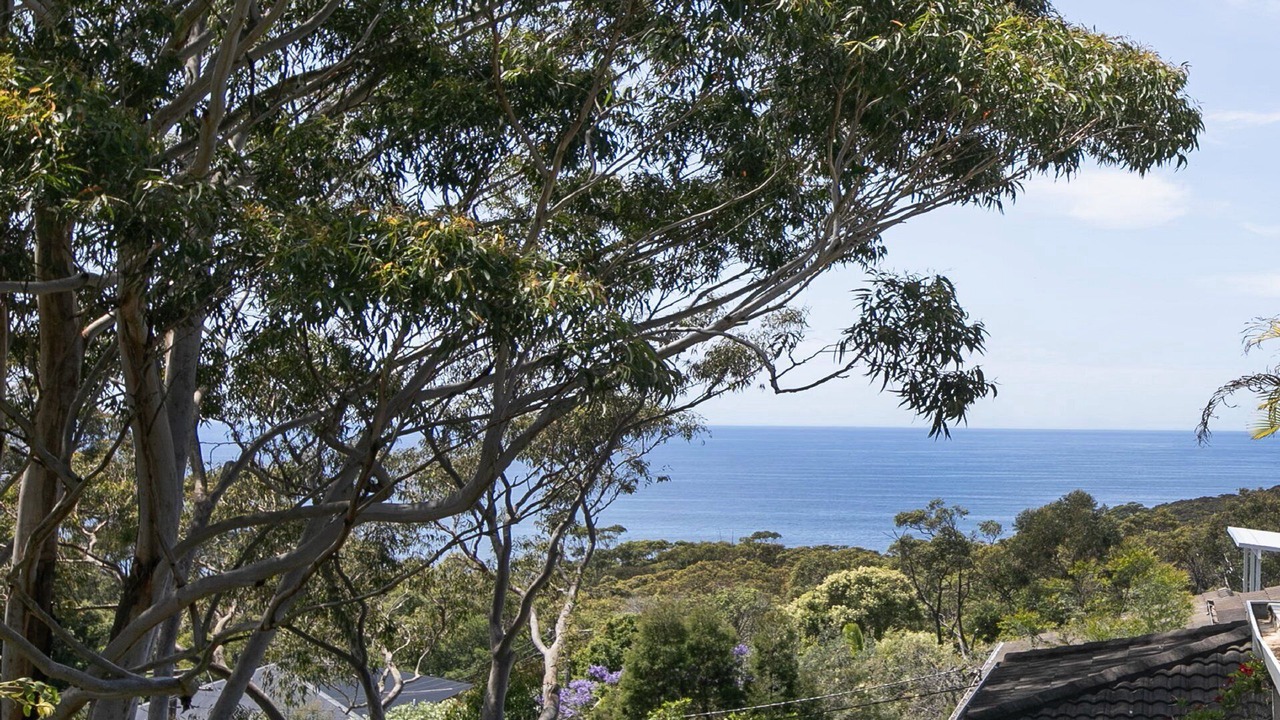 Photo of Others in Macmasters Beach