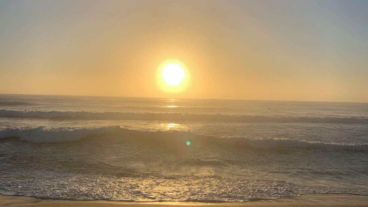 Photo of Others in Cronulla