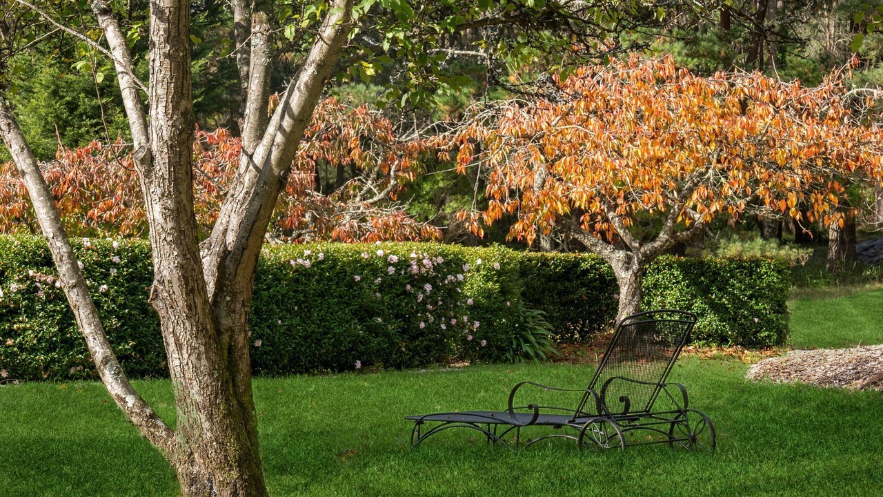 Photo of Outdoor in Blackheath