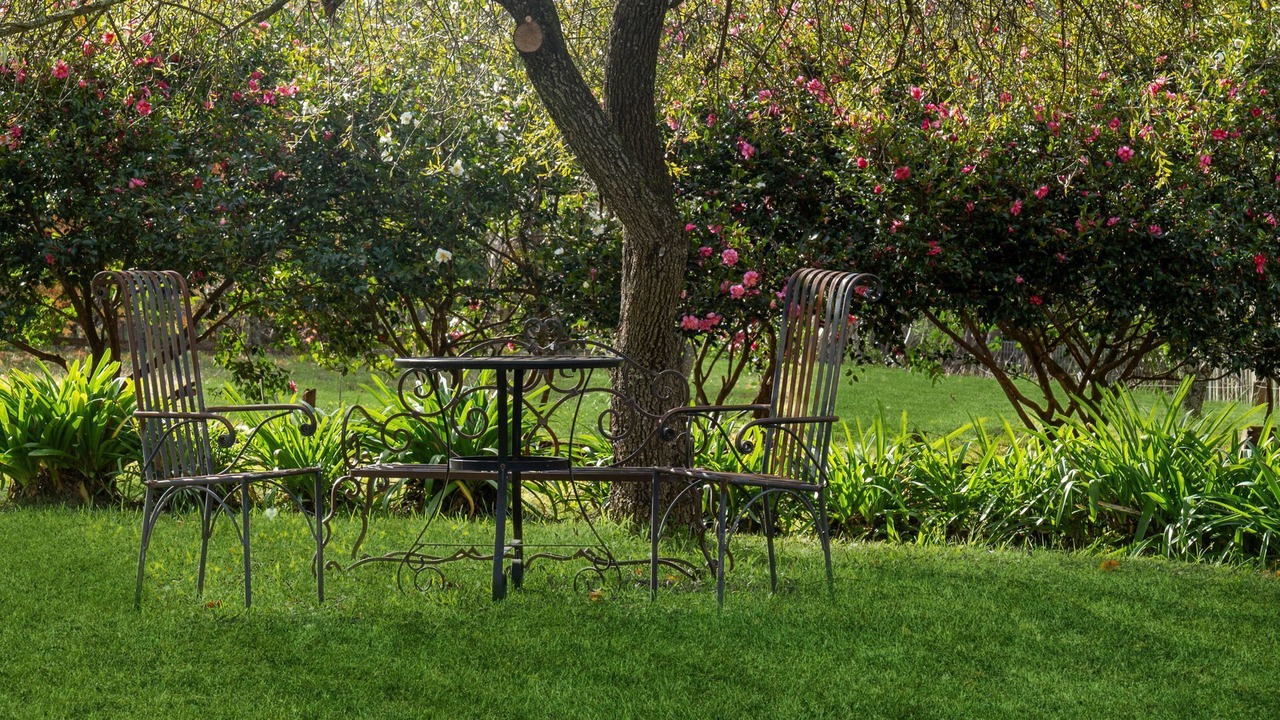 Photo of Outdoor in Blackheath