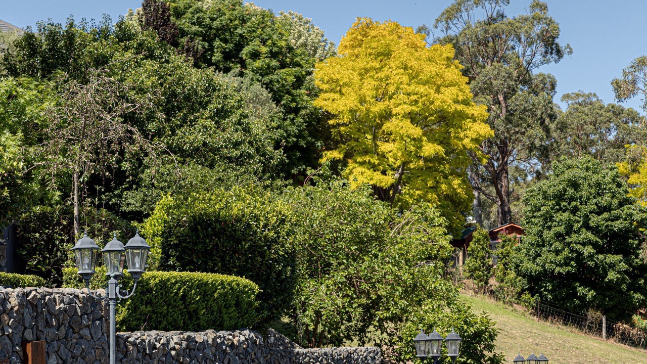 Photo of Outdoor in Picton