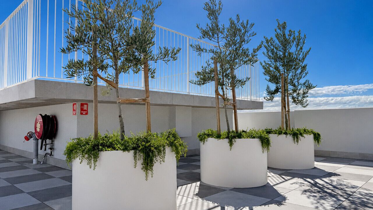 Photo of Outdoor in Bondi