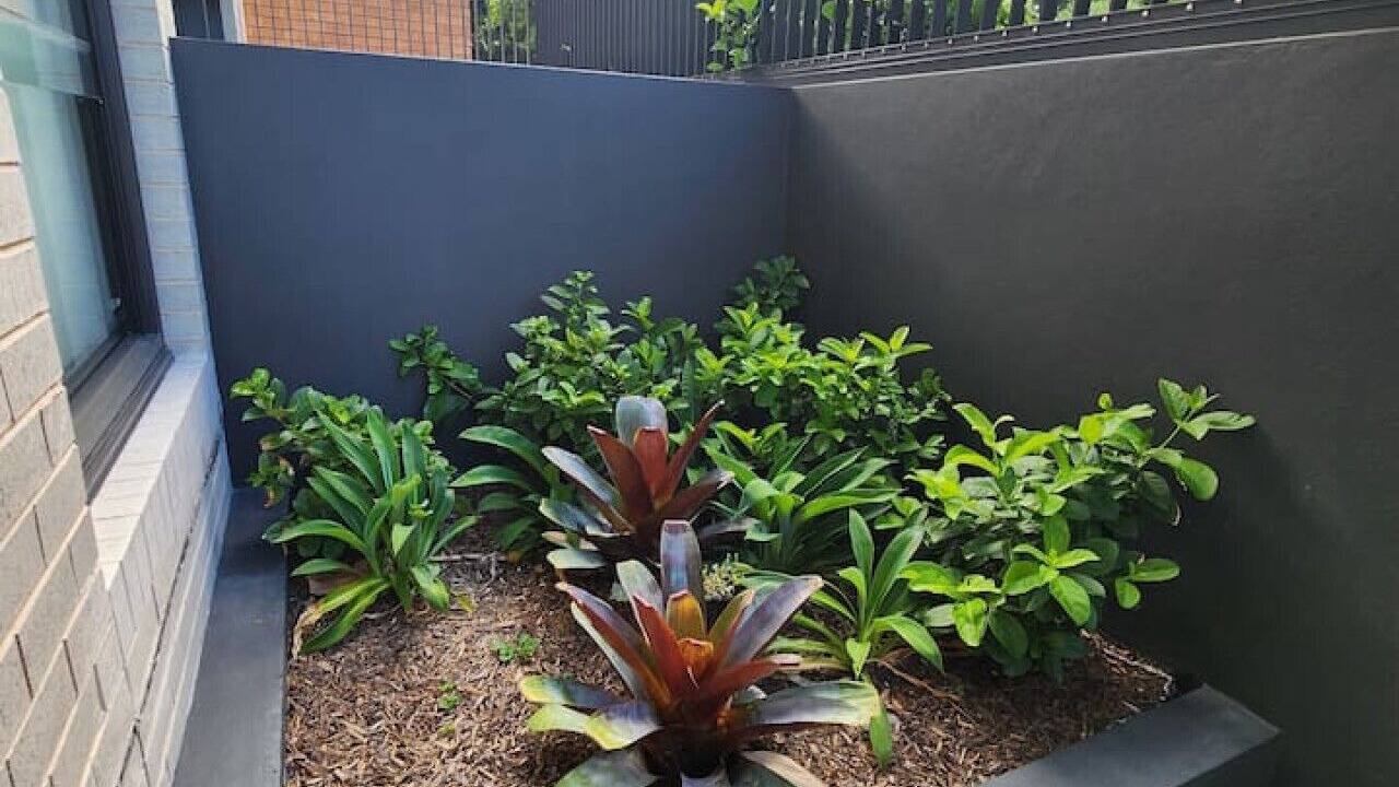 Photo of Outdoor in Kingsford