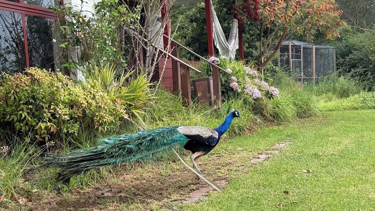 Photo of Outdoor in Wallacia
