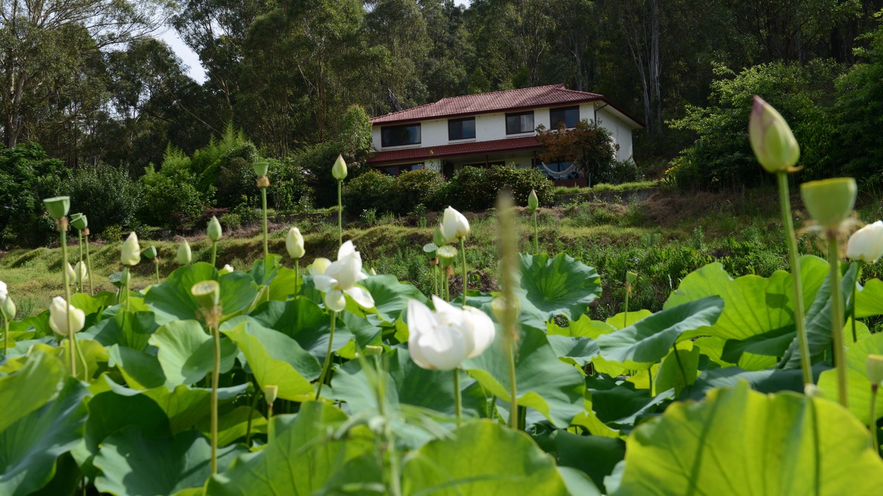 Photo of Outdoor in Wallacia