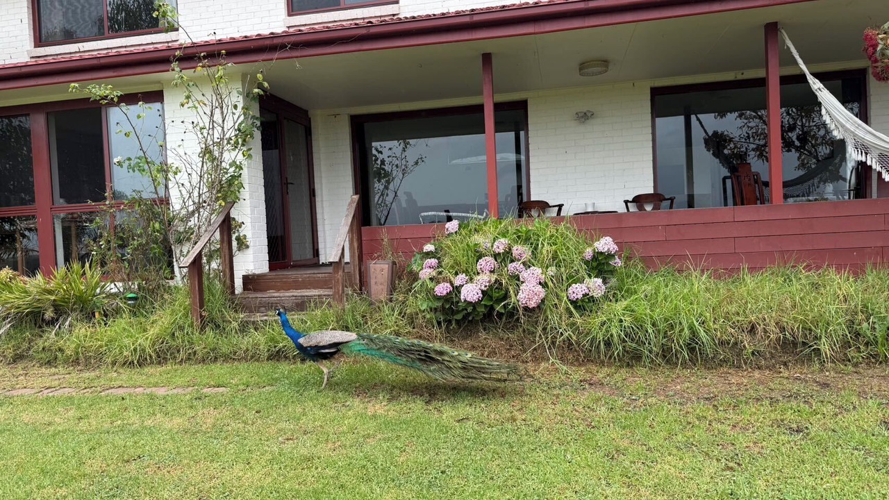 Photo of Outdoor in Wallacia