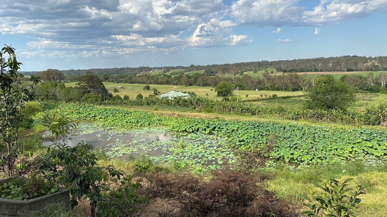 Photo of Others in Wallacia