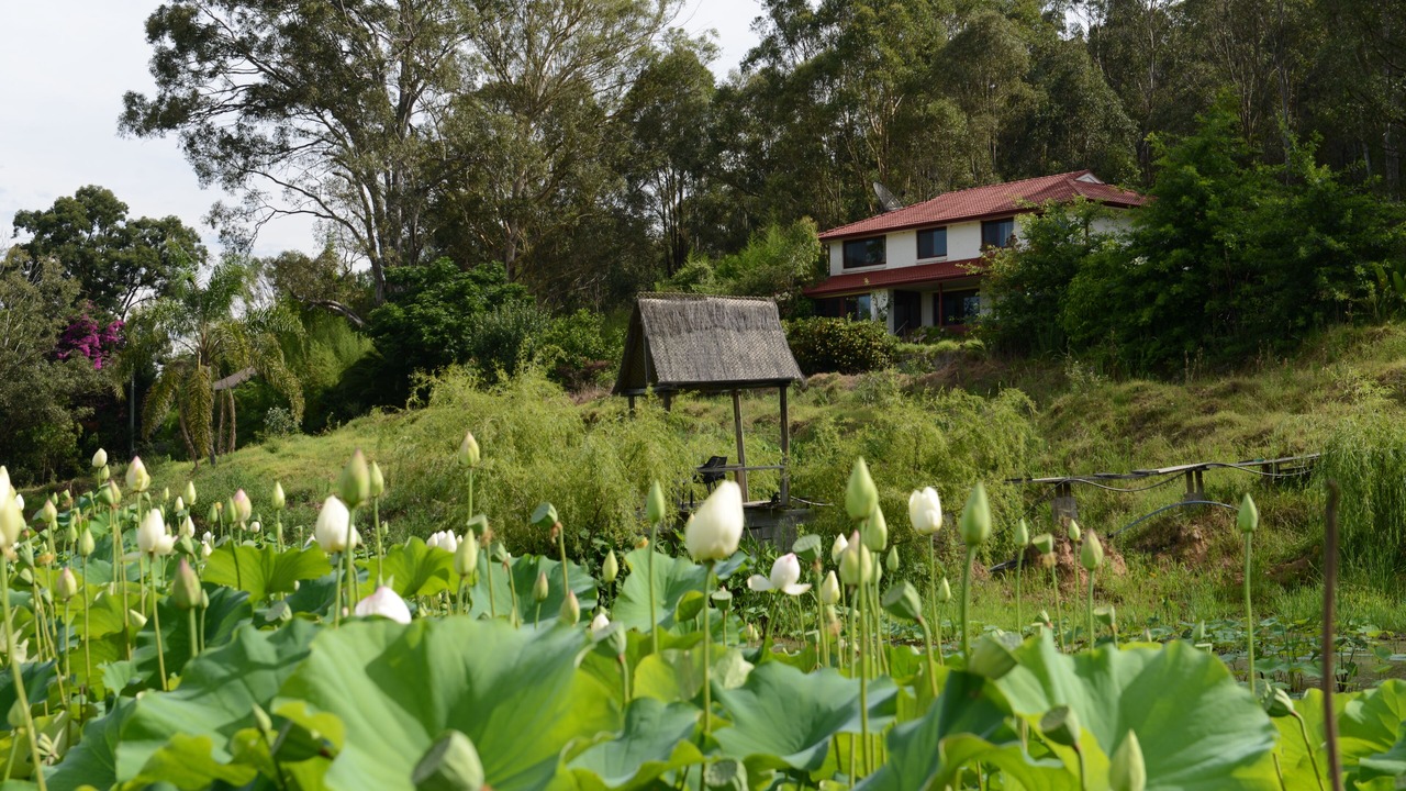 Photo of Outdoor in Wallacia