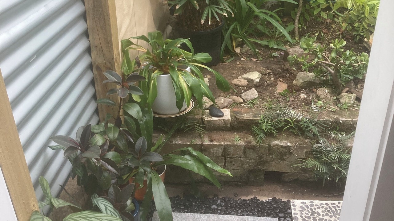 Photo of Outdoor in Manly Vale