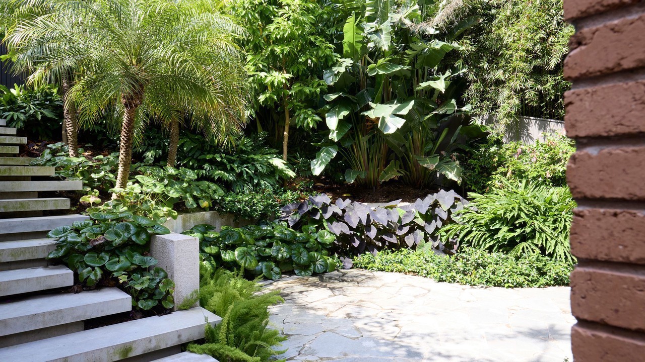 Photo of Outdoor in Clovelly