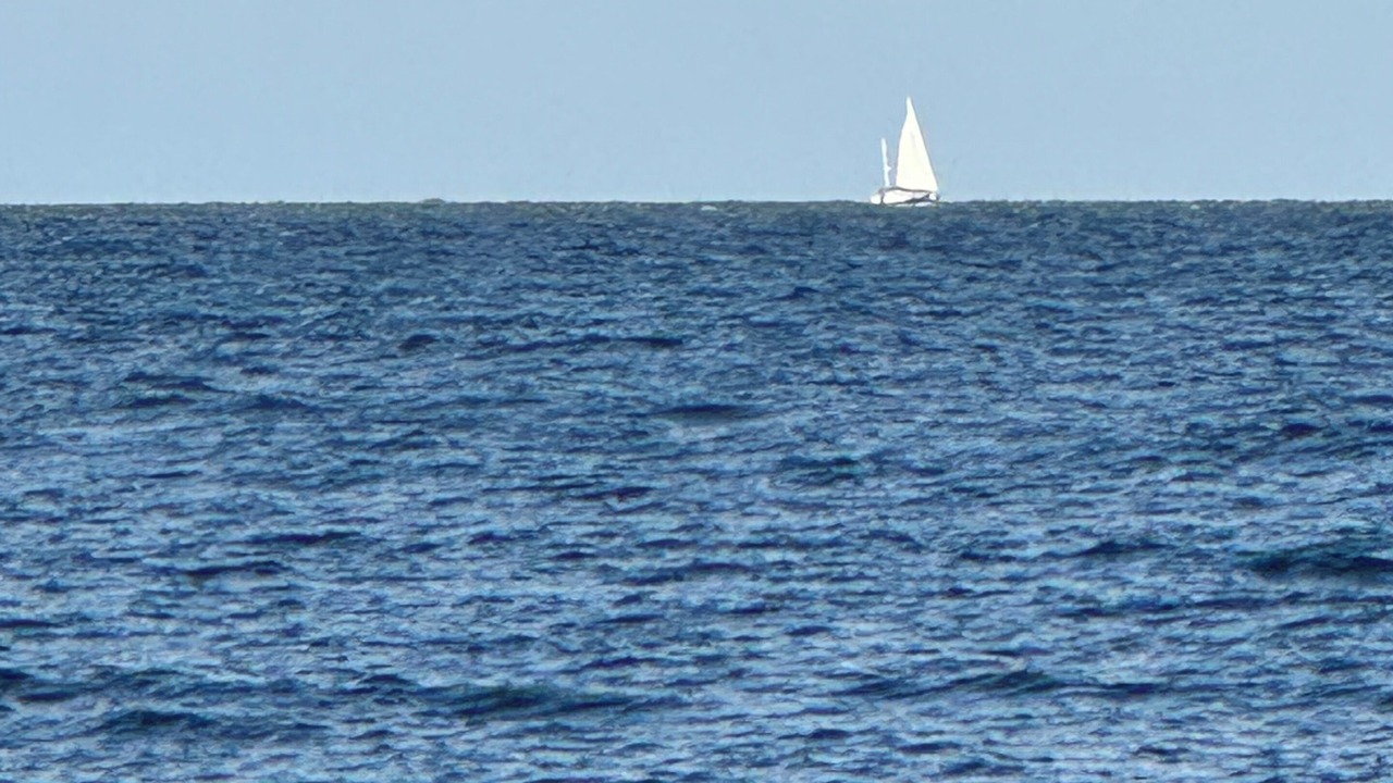 Photo of Others in Bulli