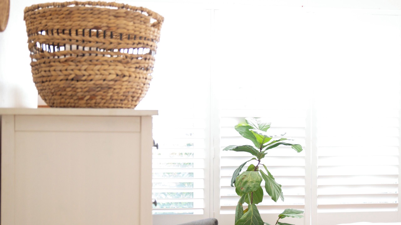 Photo of Bedroom in Woolooware