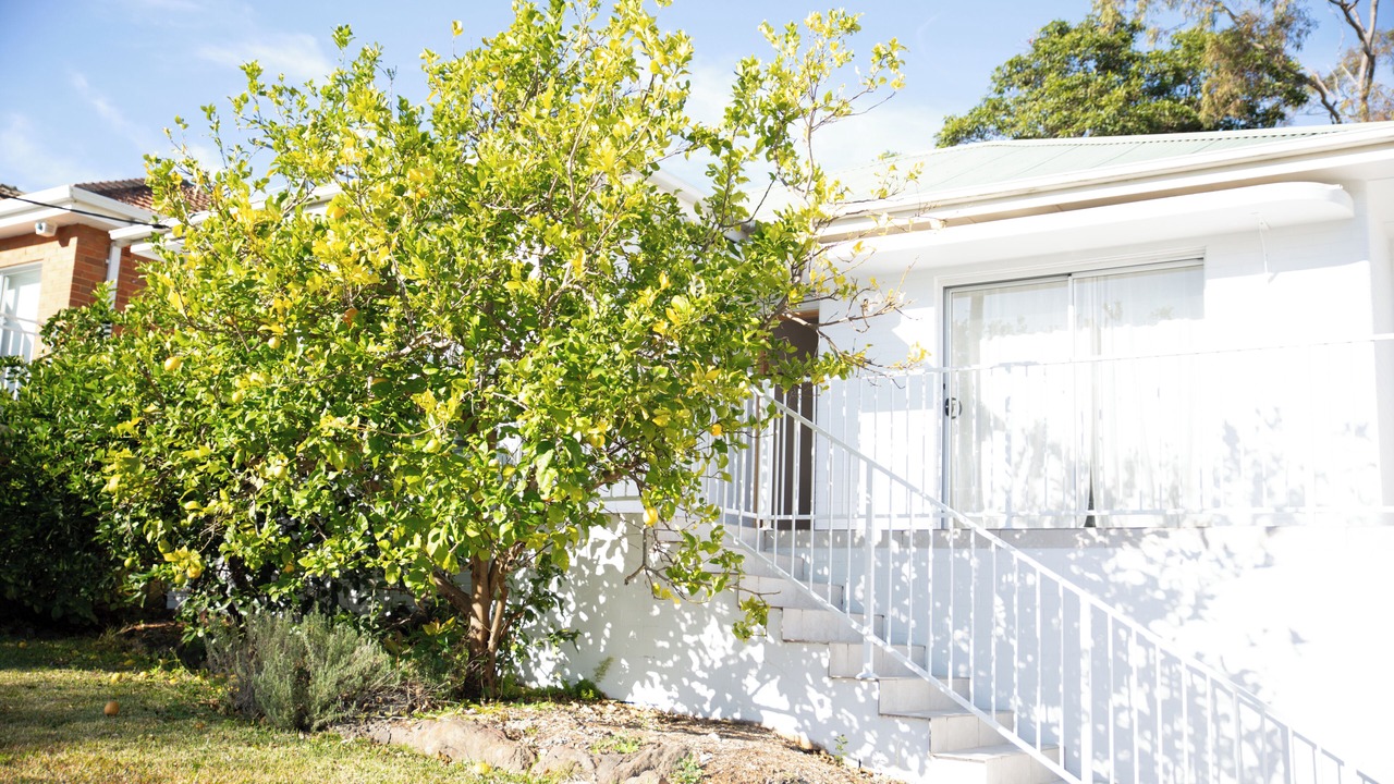 Photo of Outdoor in Woolooware