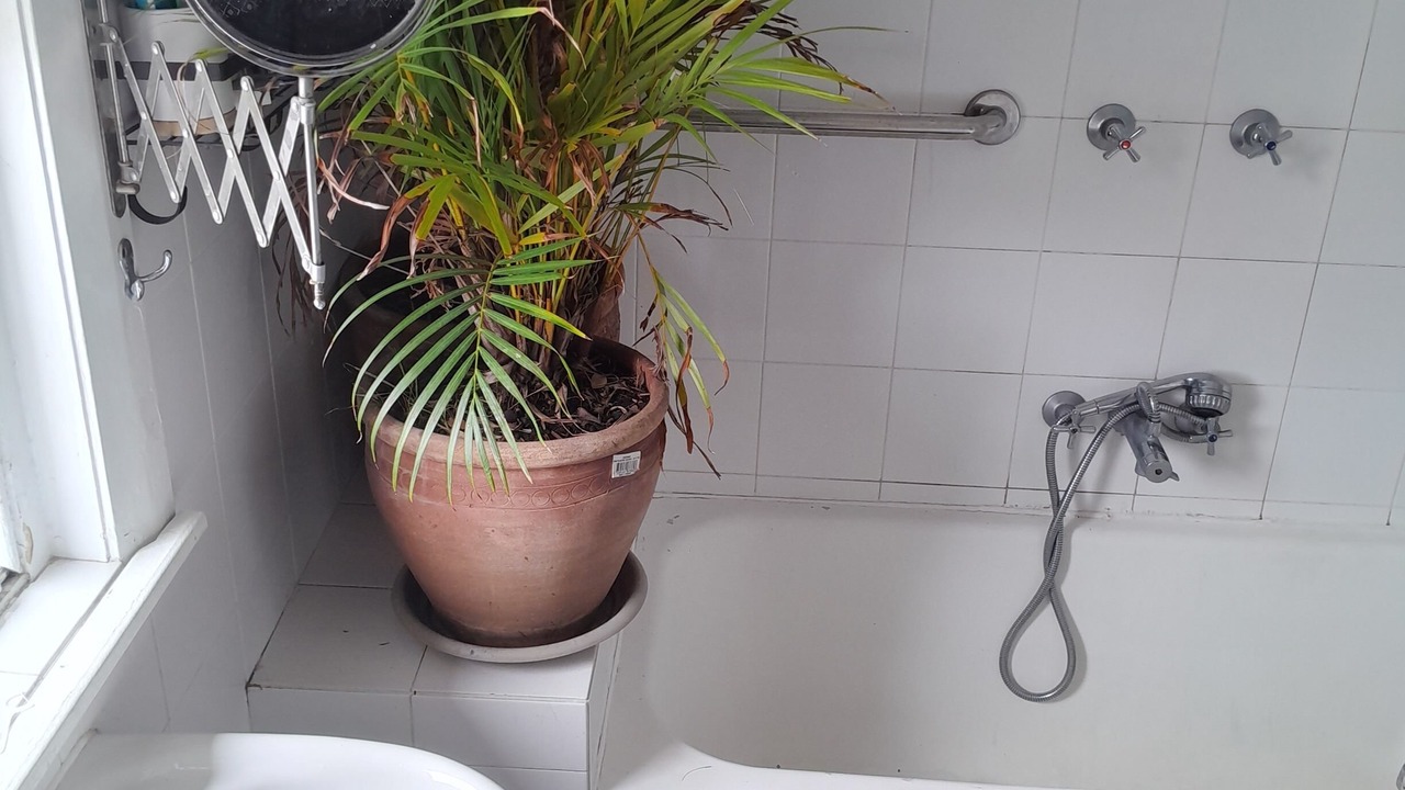 Photo of Bathroom in Coogee