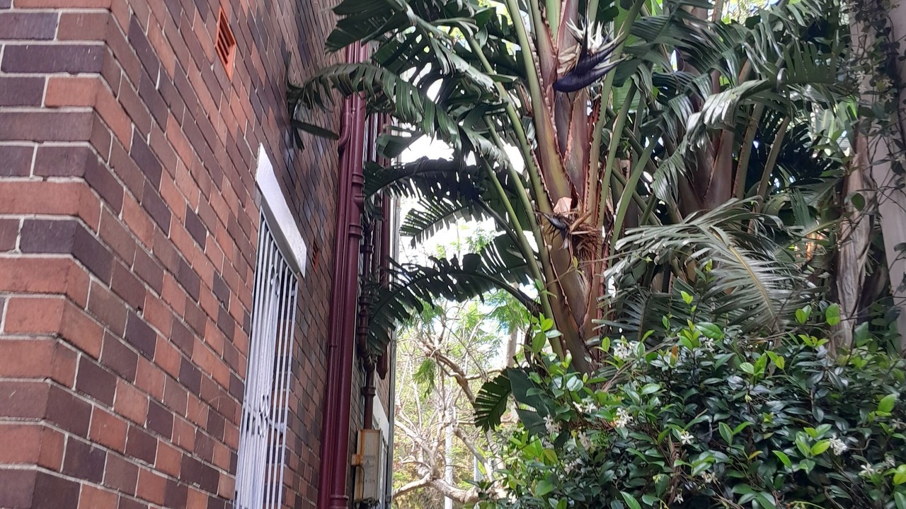 Photo of Outdoor in Coogee