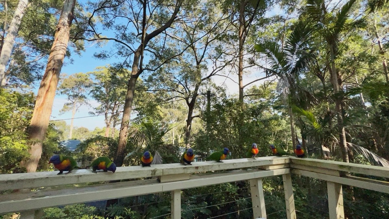 Photo of Outdoor in Smiths Lake