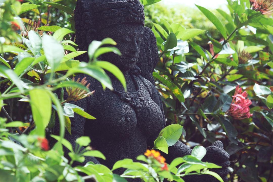 Photo of Others in Nerul
