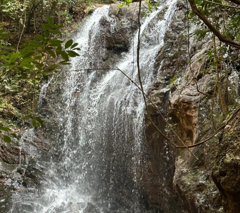 Photo of Others in Chikkamagaluru