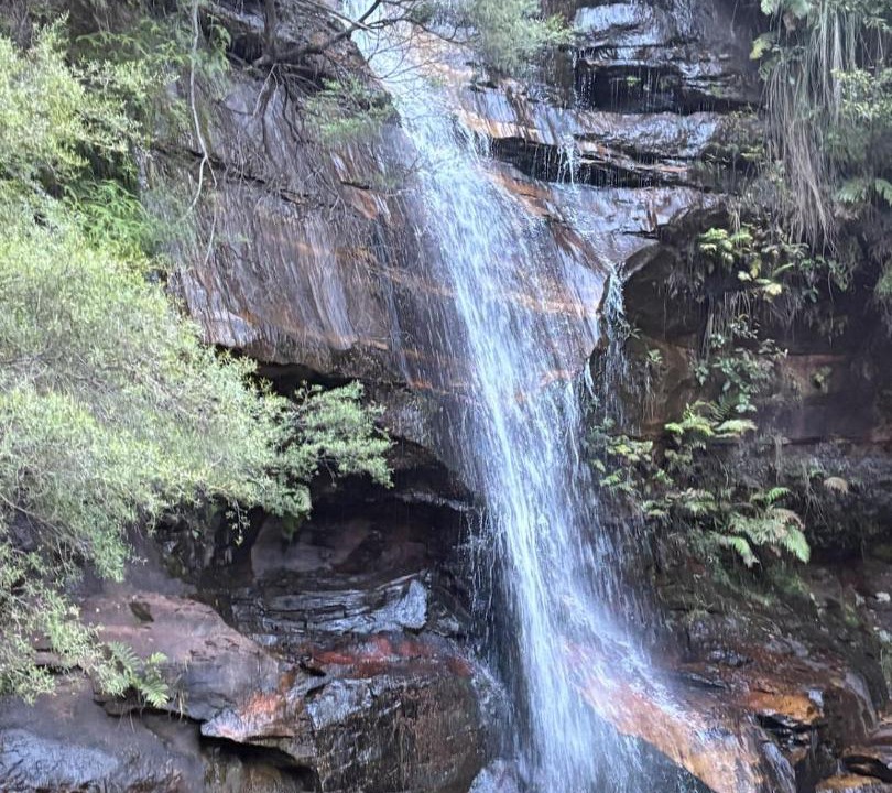 Photo of Others in Wentworth Falls