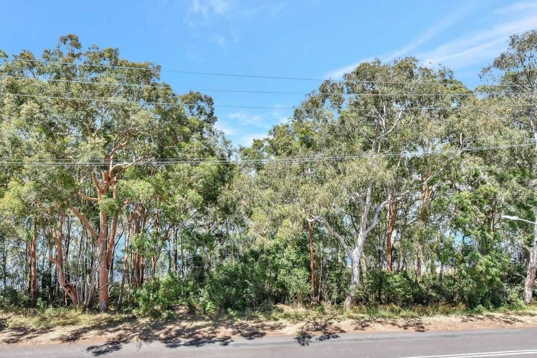 Photo of Others in Wangi Wangi