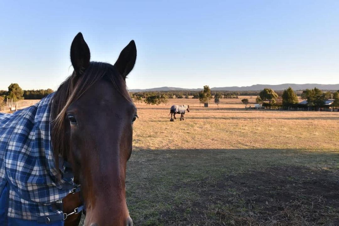 Photo of Others in Lovedale
