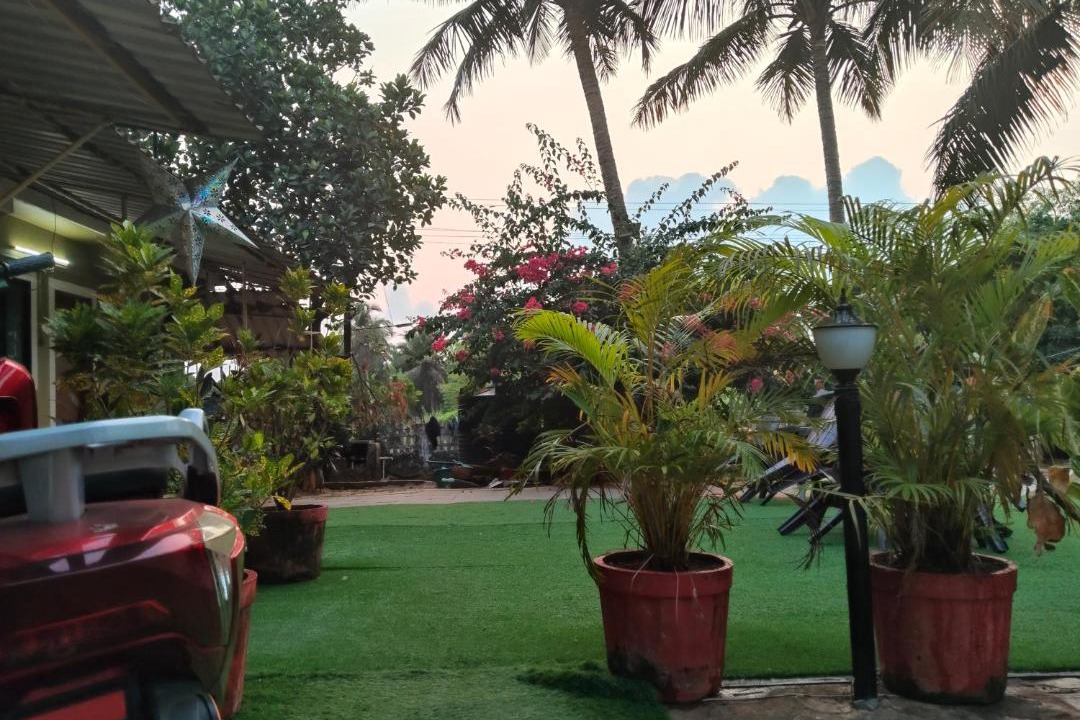 Photo of Others in Colva