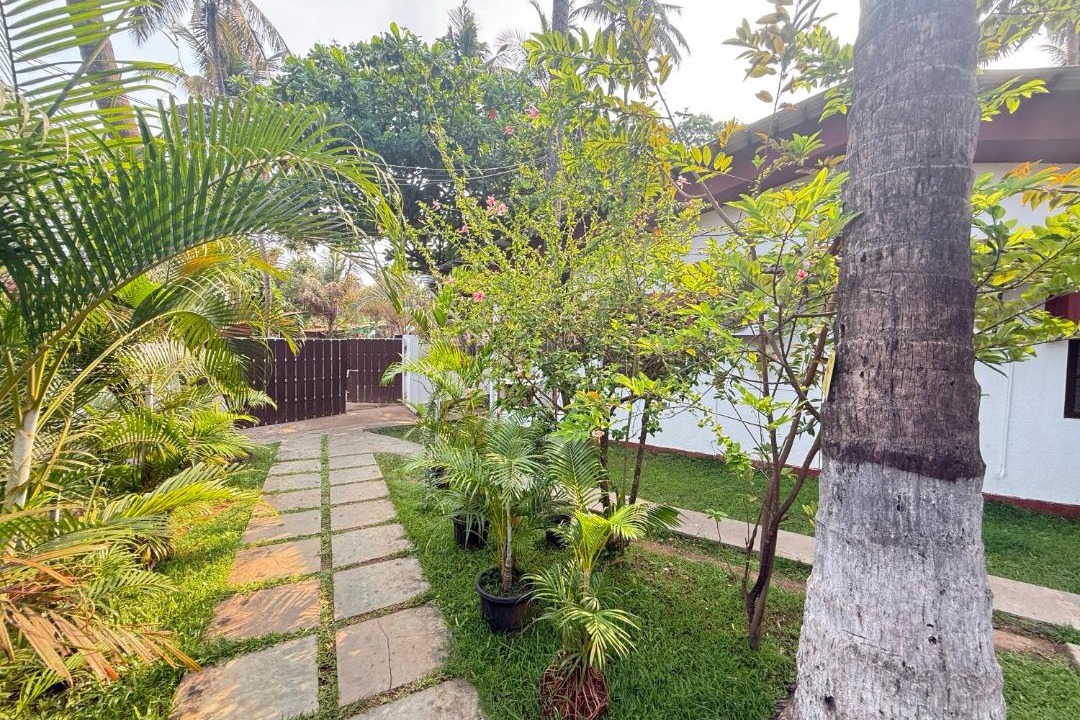 Photo of Others in Anjuna