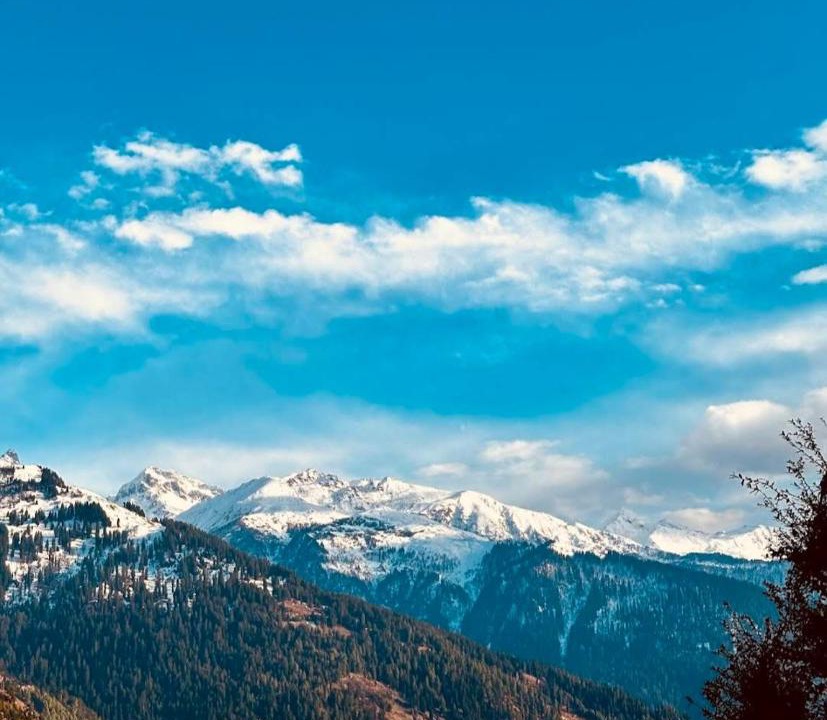 Photo of Others in Manali