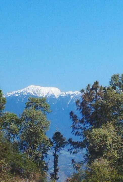 Photo of Others in Shimla
