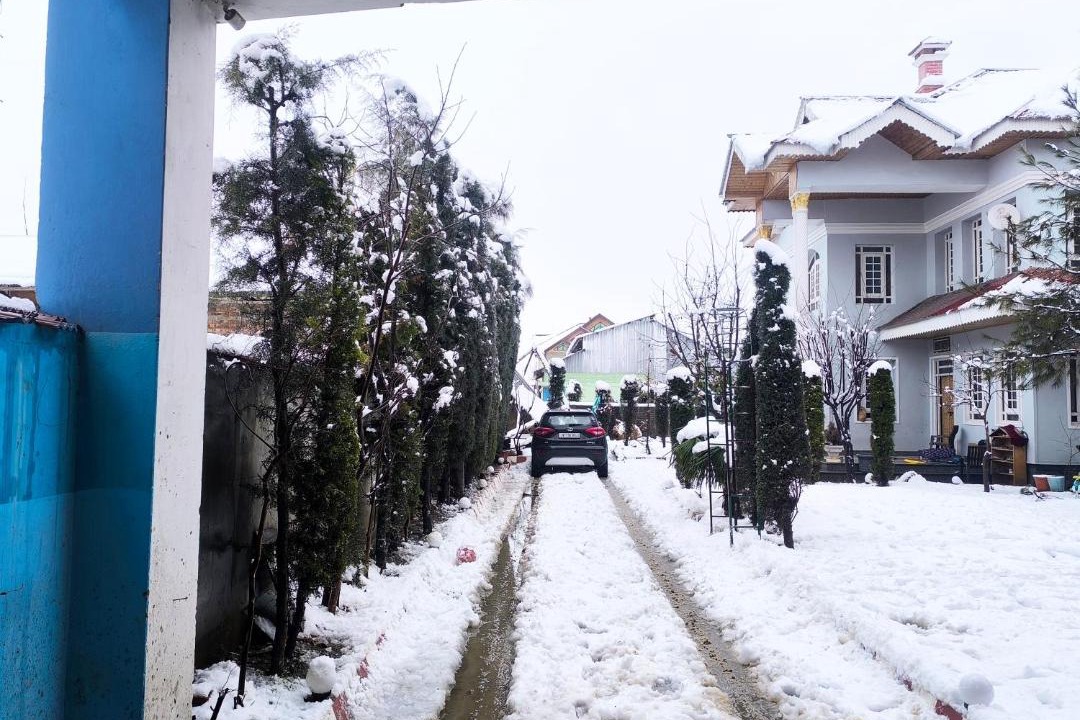 Photo of Others in Srinagar