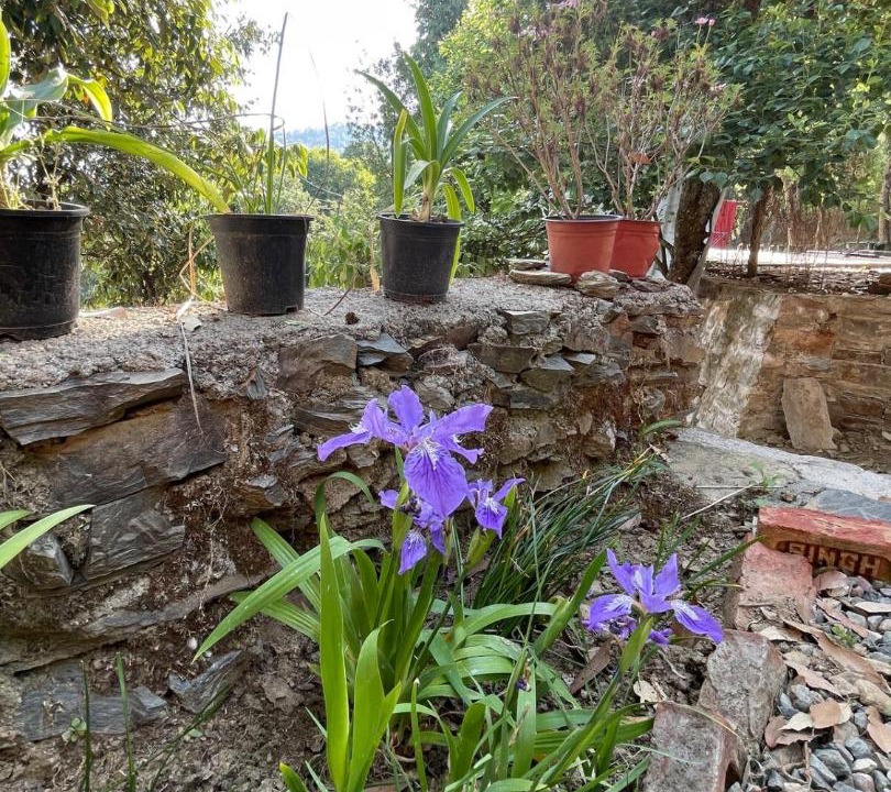 Photo of Outdoor in Kaul