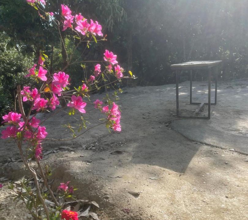Photo of Outdoor in Kaul