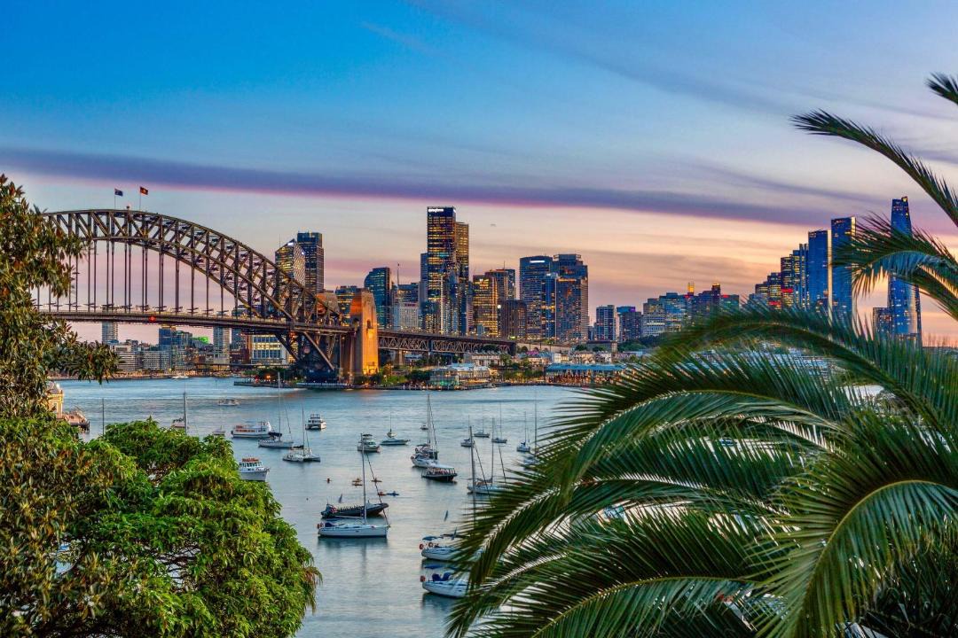 Photo of Others in Lavender Bay