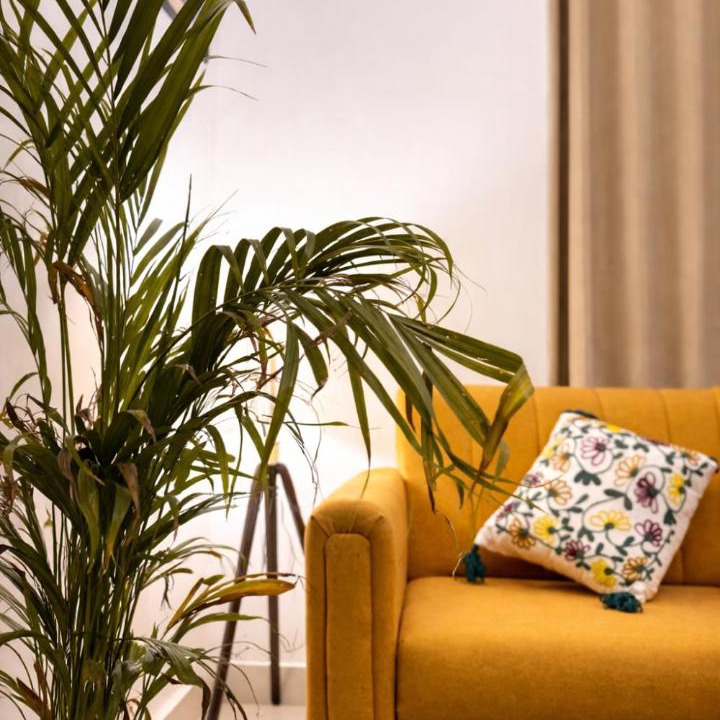 Photo of Livingroom in Durgapura