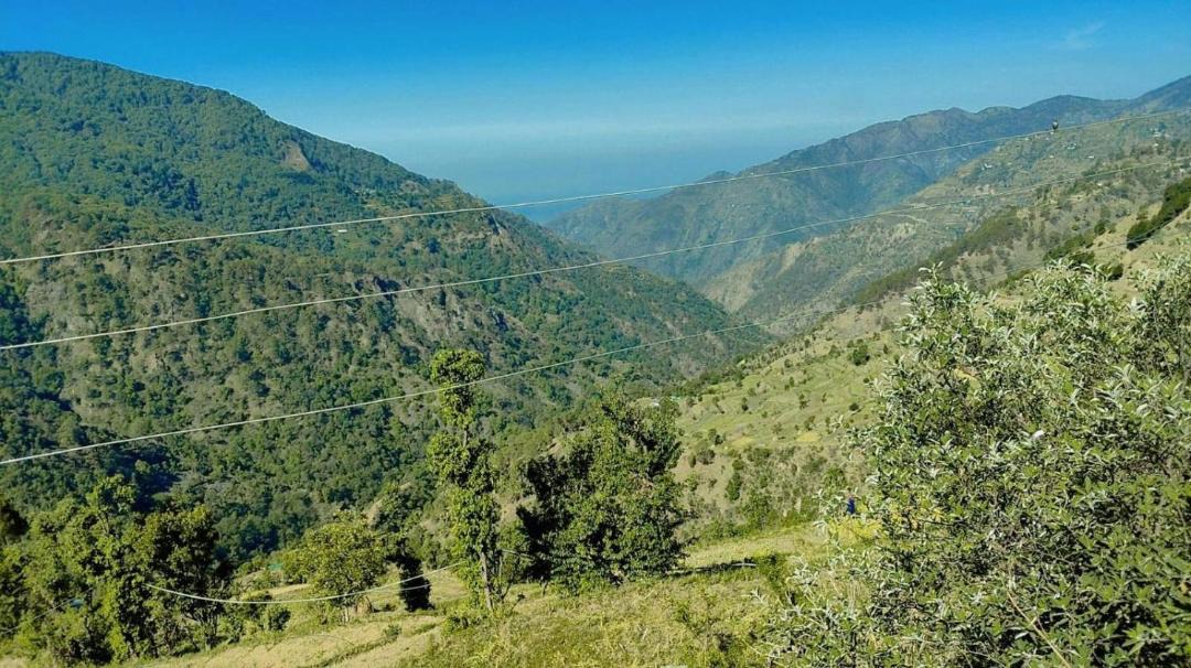 Photo of Others in Naina Range