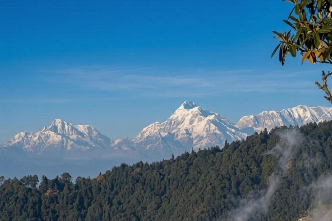 Photo of Others in Naina Range