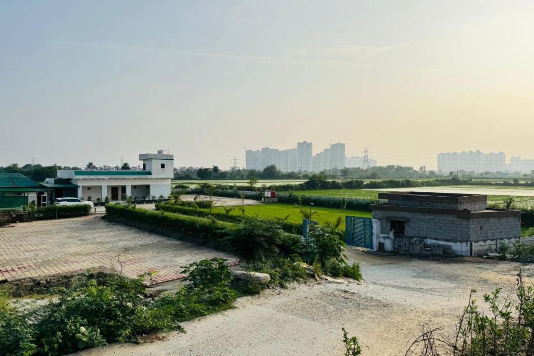Photo of Others in Noida