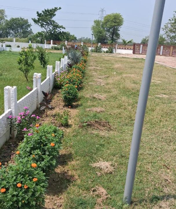 Photo of Others in Faizabad