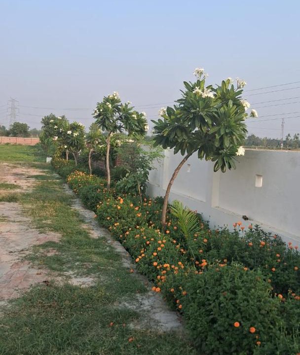 Photo of Others in Faizabad