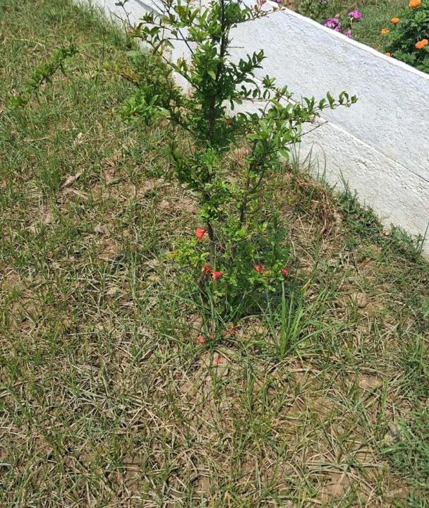 Photo of Outdoor in Faizabad