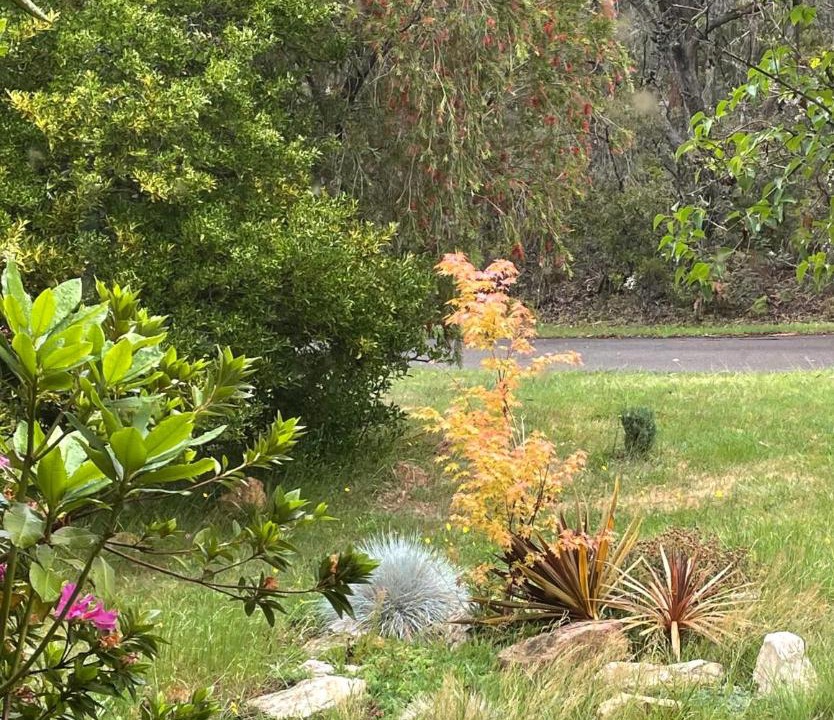 Photo of Others in Wentworth Falls