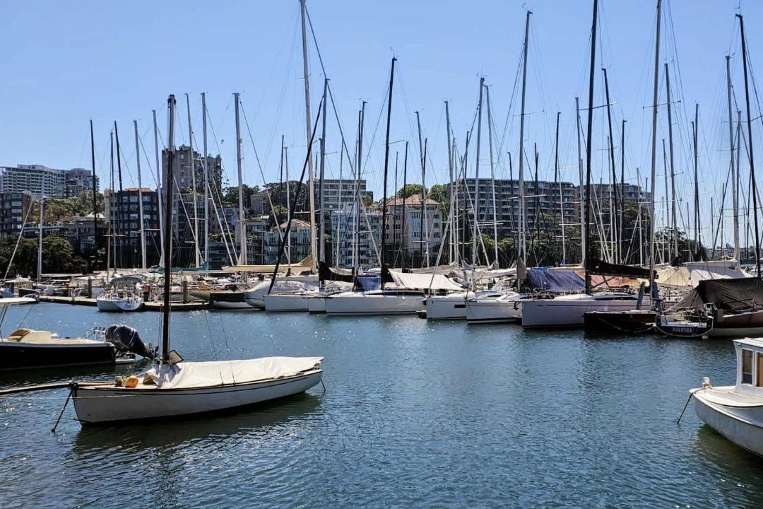 Photo of Others in Elizabeth Bay