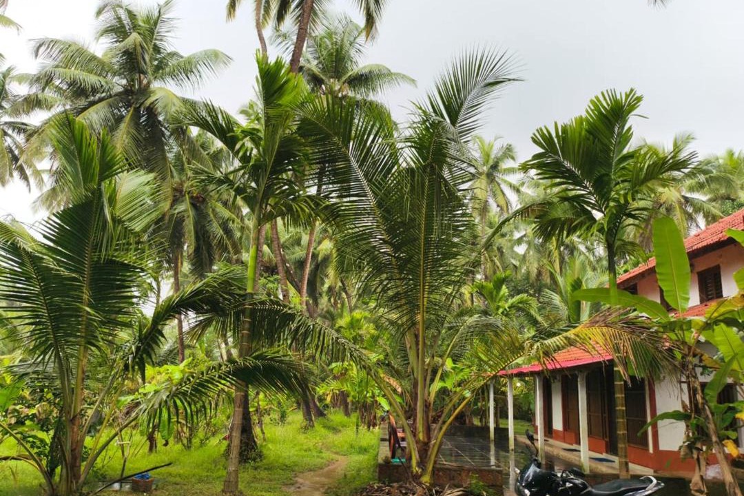 Photo of Others in Honavar