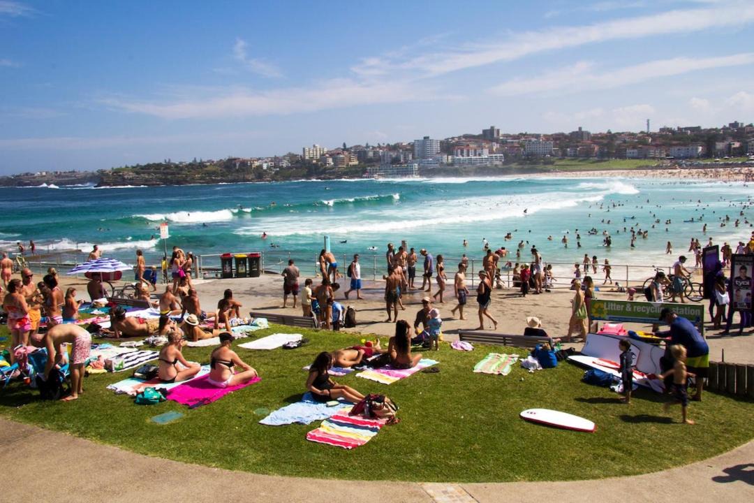 Photo of Others in North Bondi