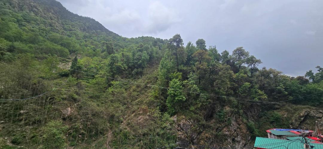 Photo of Others in Gaurikund