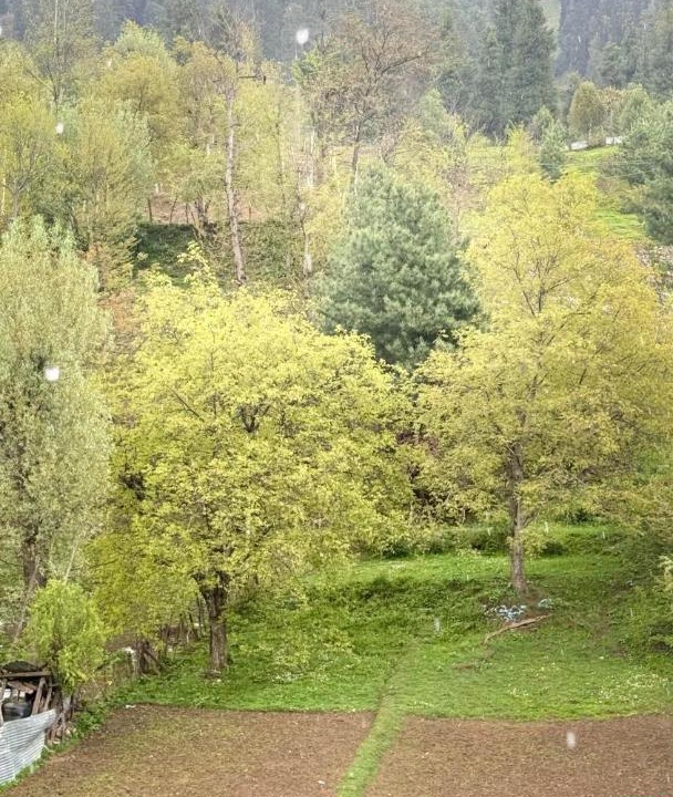Photo of Others in Pahalgam