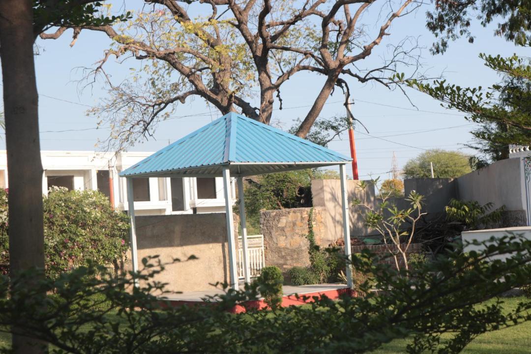 Photo of Others in Bedla