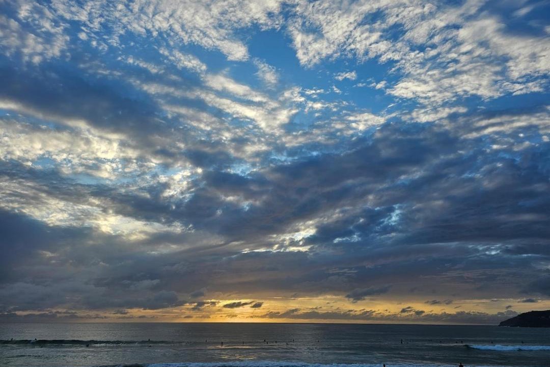 Photo of Others in Manly
