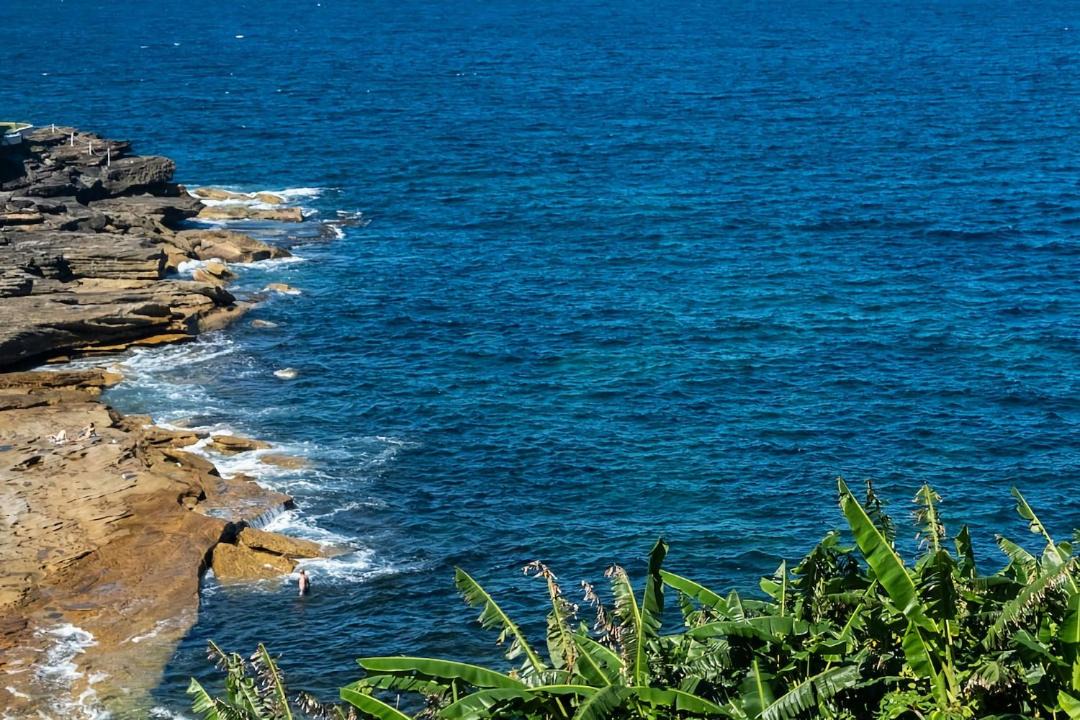 Photo of Others in Maroubra